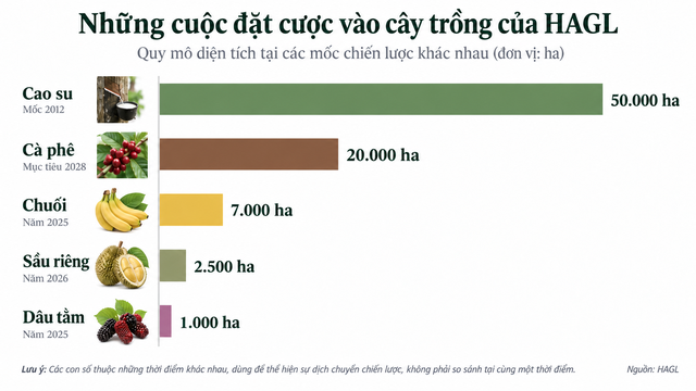 Bầu Đức sau 15 năm 'làm nông': Miệt mài 'đổi cây, đổi con' tìm hướng đi cho HAGL- Ảnh 1.