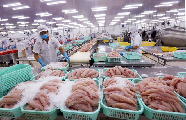 VASEP: Cùng một loại tôm, cá, mực nhưng có nơi miễn thuế, có nơi áp dụng thuế 8% hoặc 10% ảnh 1 VASEP: Cùng một loại tôm, cá, mực nhưng có nơi miễn thuế, có nơi áp dụng thuế 8% hoặc 10% - Ảnh 1.