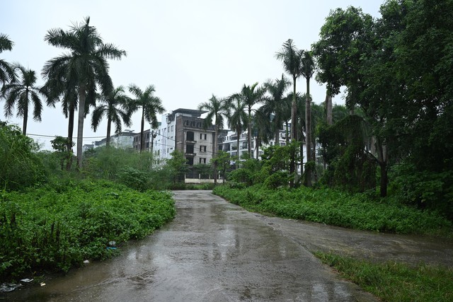 Vĩnh Hưng trước cuộc tái thiết: Kề những khu đô thị triệu đô, đường vẫn chật hẹp cứ mưa là ngập ảnh 11 Vĩnh Hưng trước cuộc tái thiết: Kề những khu đô thị triệu đô, đường vẫn chật hẹp cứ mưa là ngập - Ảnh 11.